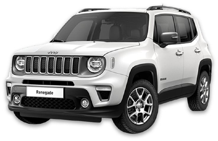 RENEGADE LIMITED